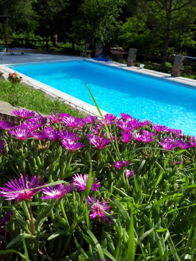 La Lacia Bed & Breakfast Acqui Terme Dış mekan fotoğraf